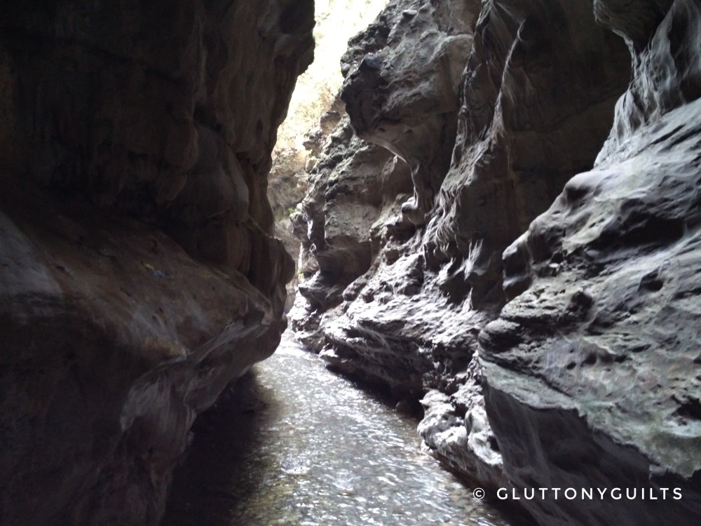 IMG_20160215_141046-01