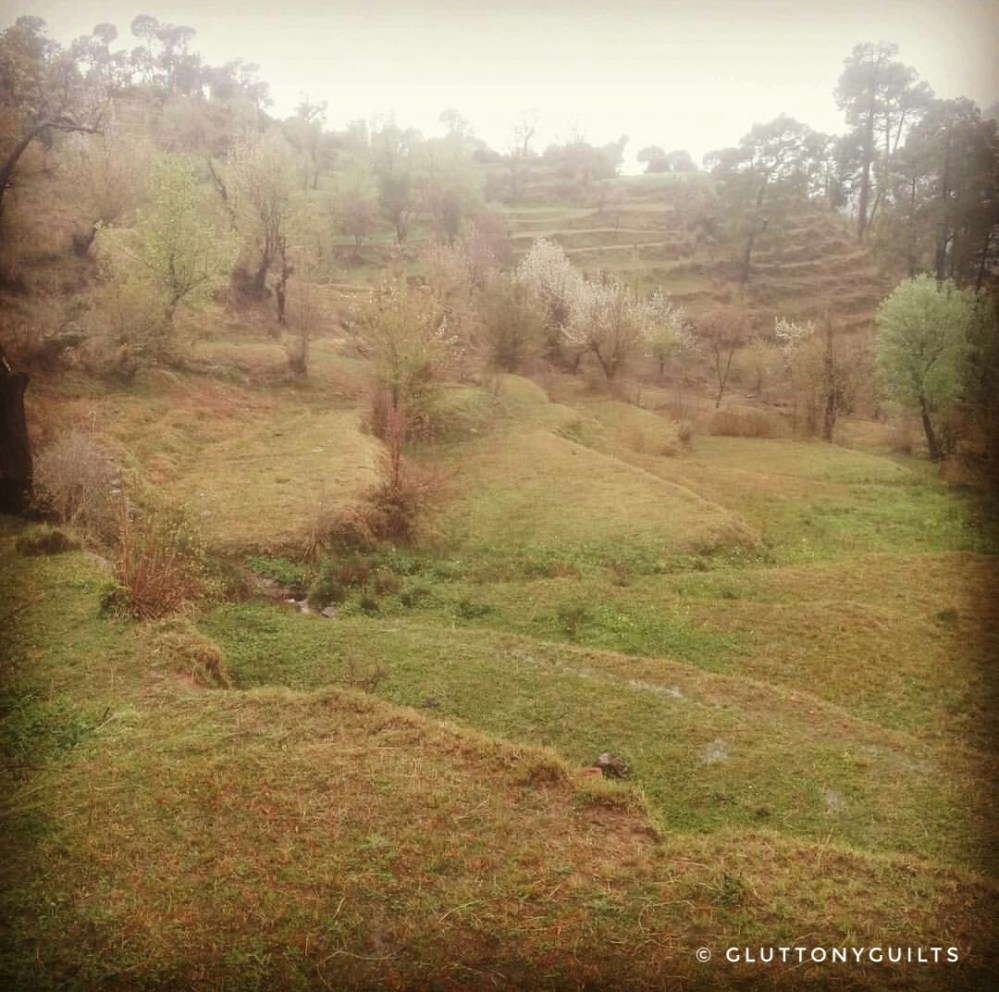 Screenshot_20170314-232136-01