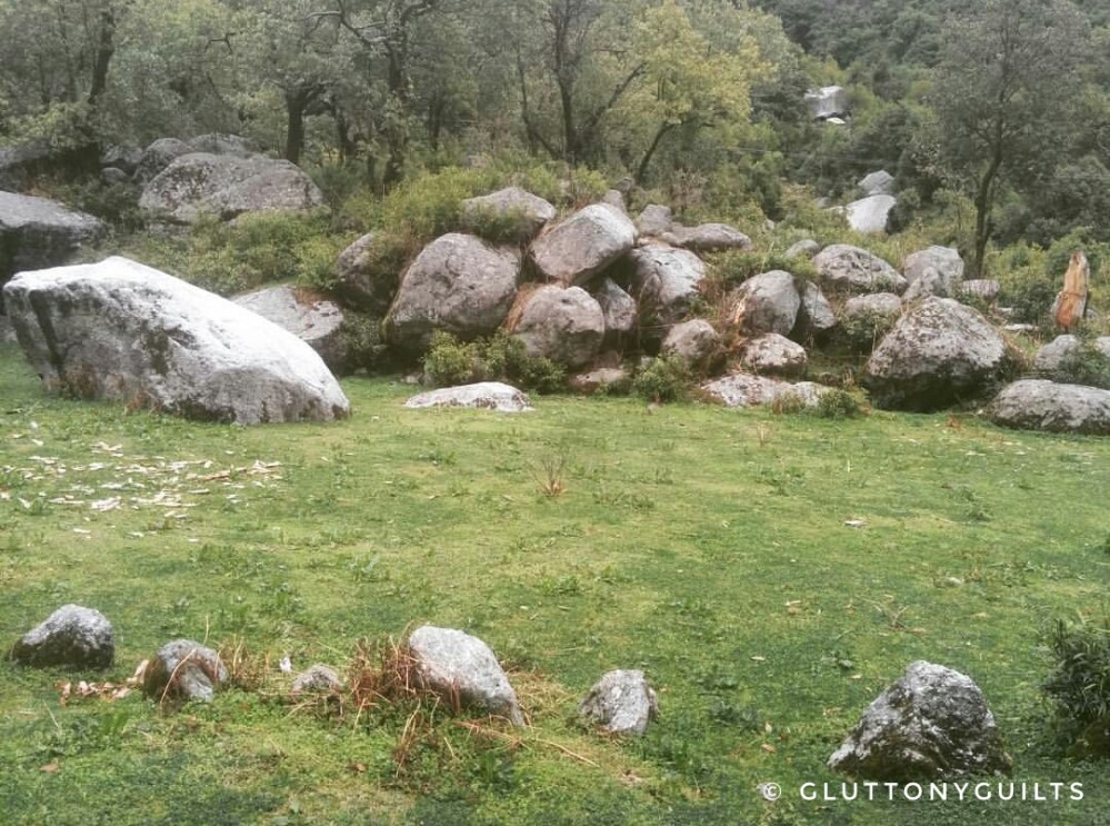 Screenshot_20170317-215147-01