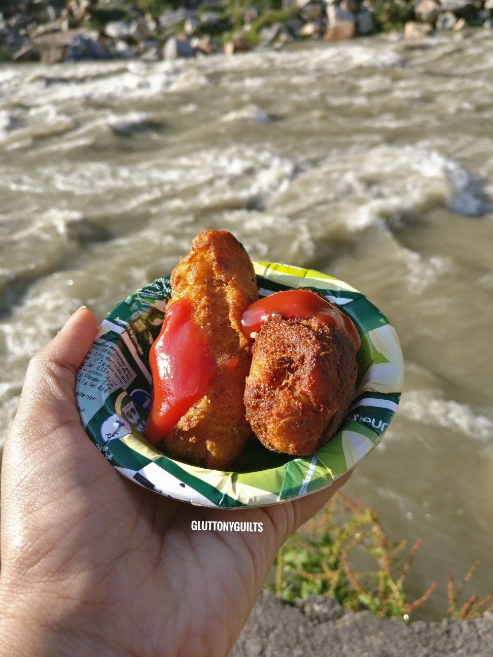 IMG_20170701_172940-01