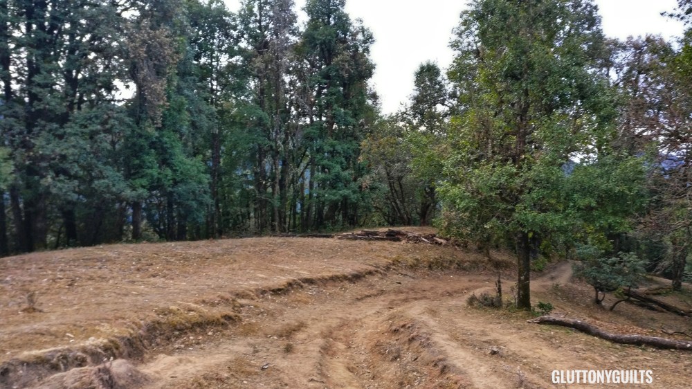 IMG_20180211_071836-01