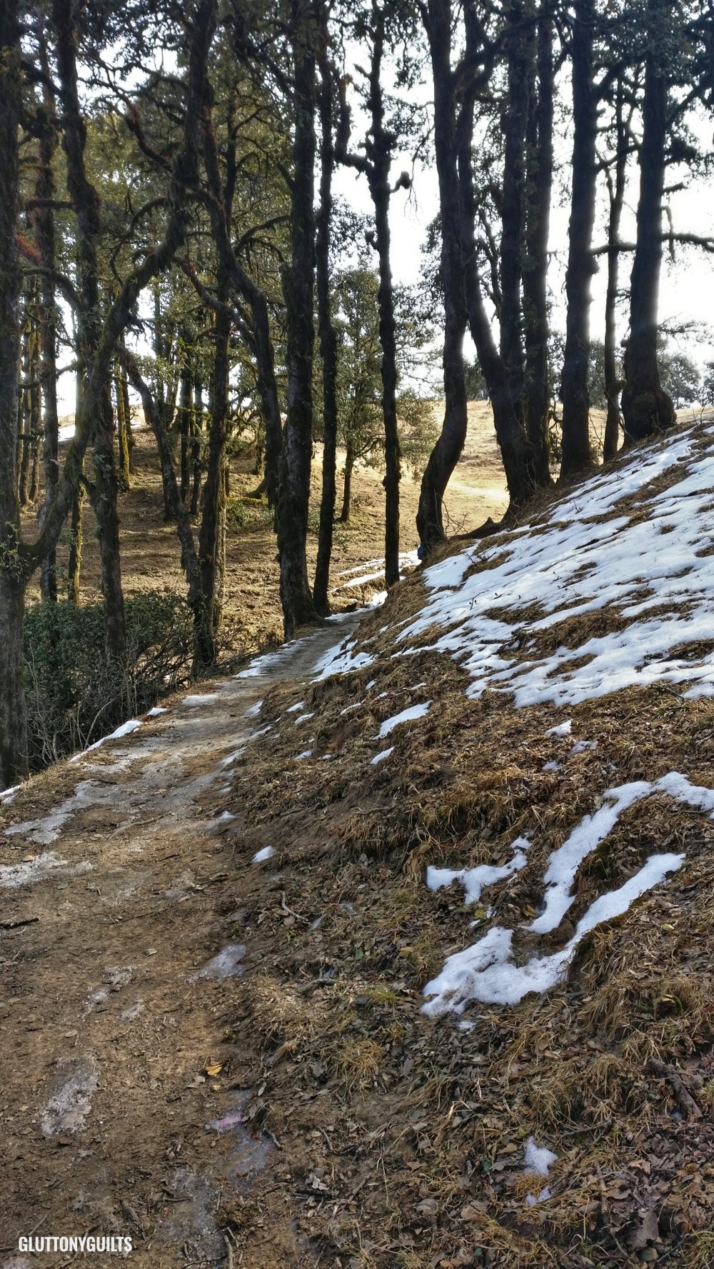 IMG_20180211_094921-01