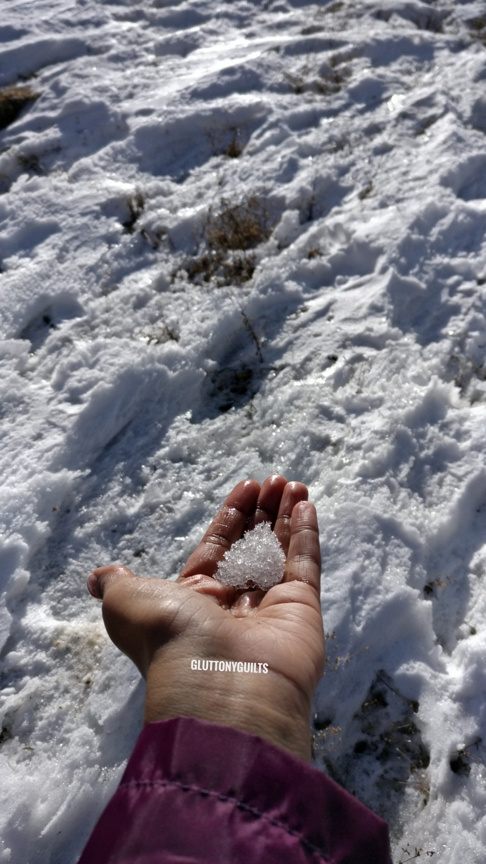 IMG_20180211_111453-01