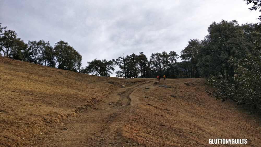 IMG_20180211_080835-01